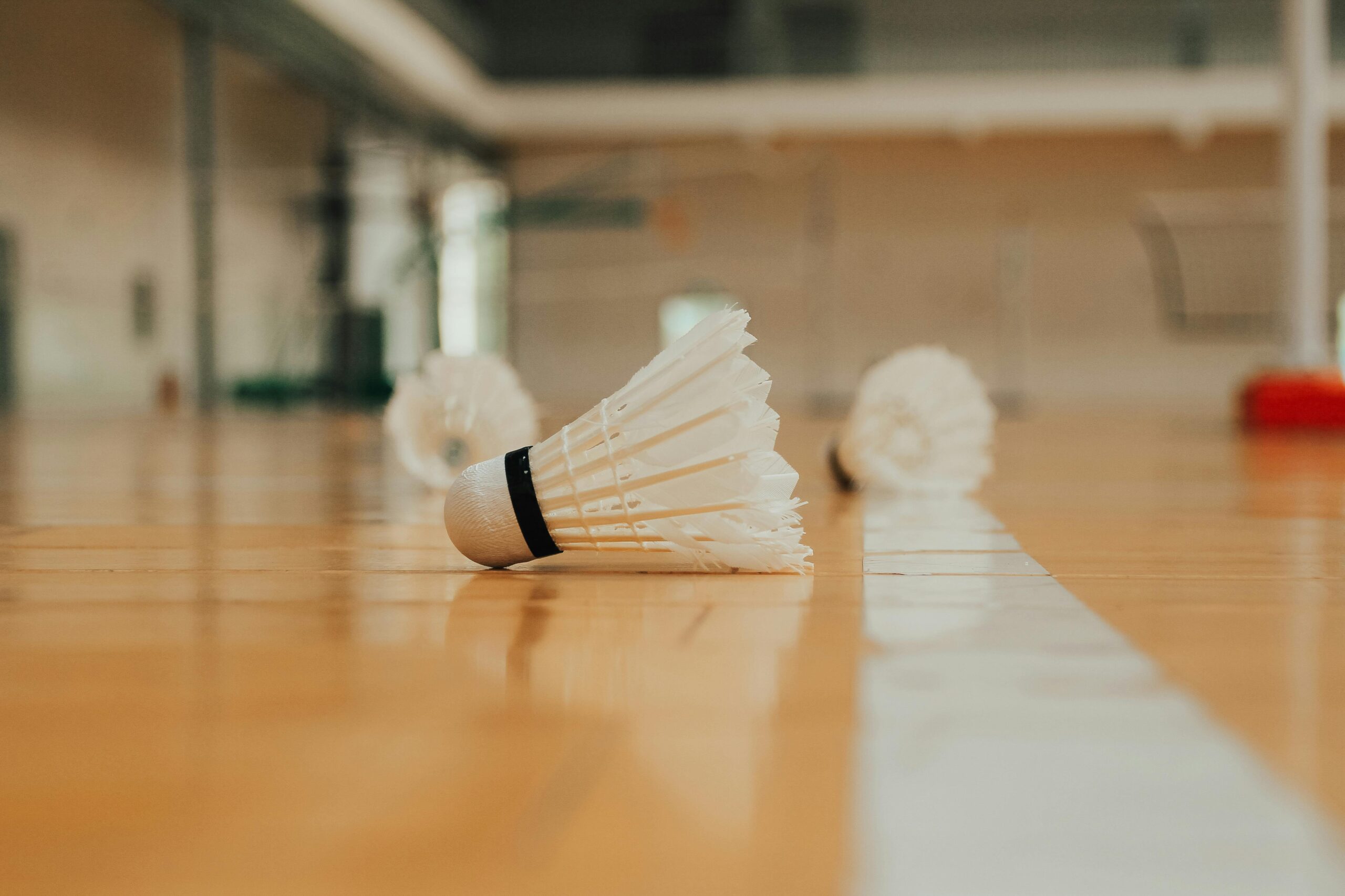 A shuttlecock lays in focus on an indoor sports hall floor with several visible in the background, but blurred.  The image is an example of what students will experience when playing badminton in Bristol.